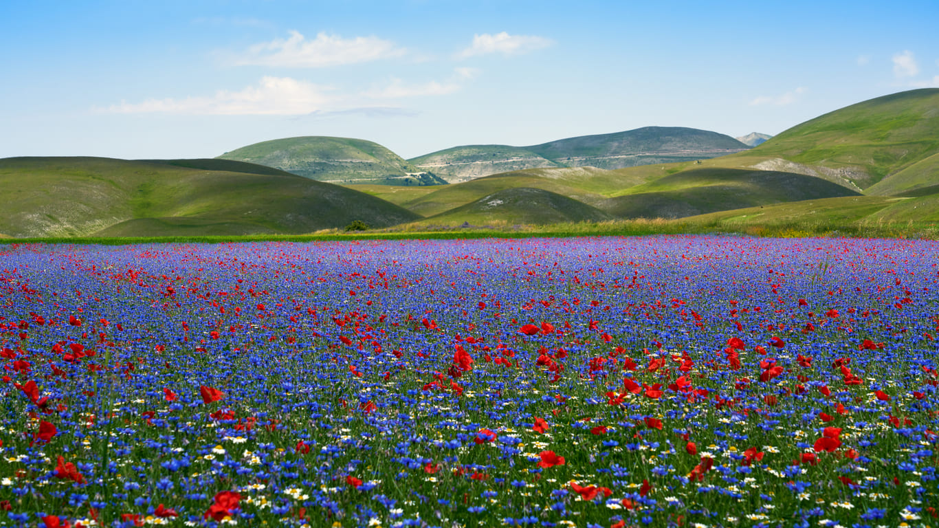 castelluccio di norcia